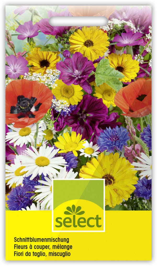 Fleurs à couper, en mélange
